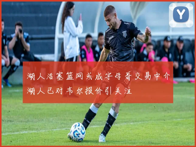 湖人活塞篮网或成字母哥交易中介湖人已对韦尔报价引关注