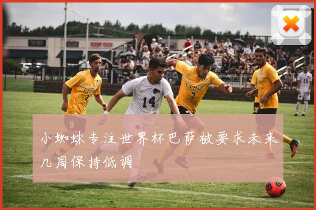 小蜘蛛专注世界杯巴萨被要求未来几周保持低调